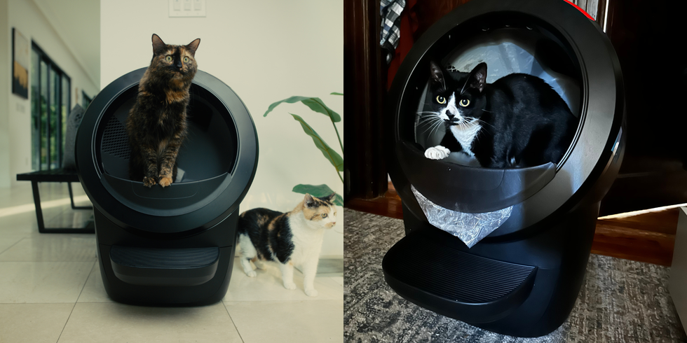 Litter-Robot 4