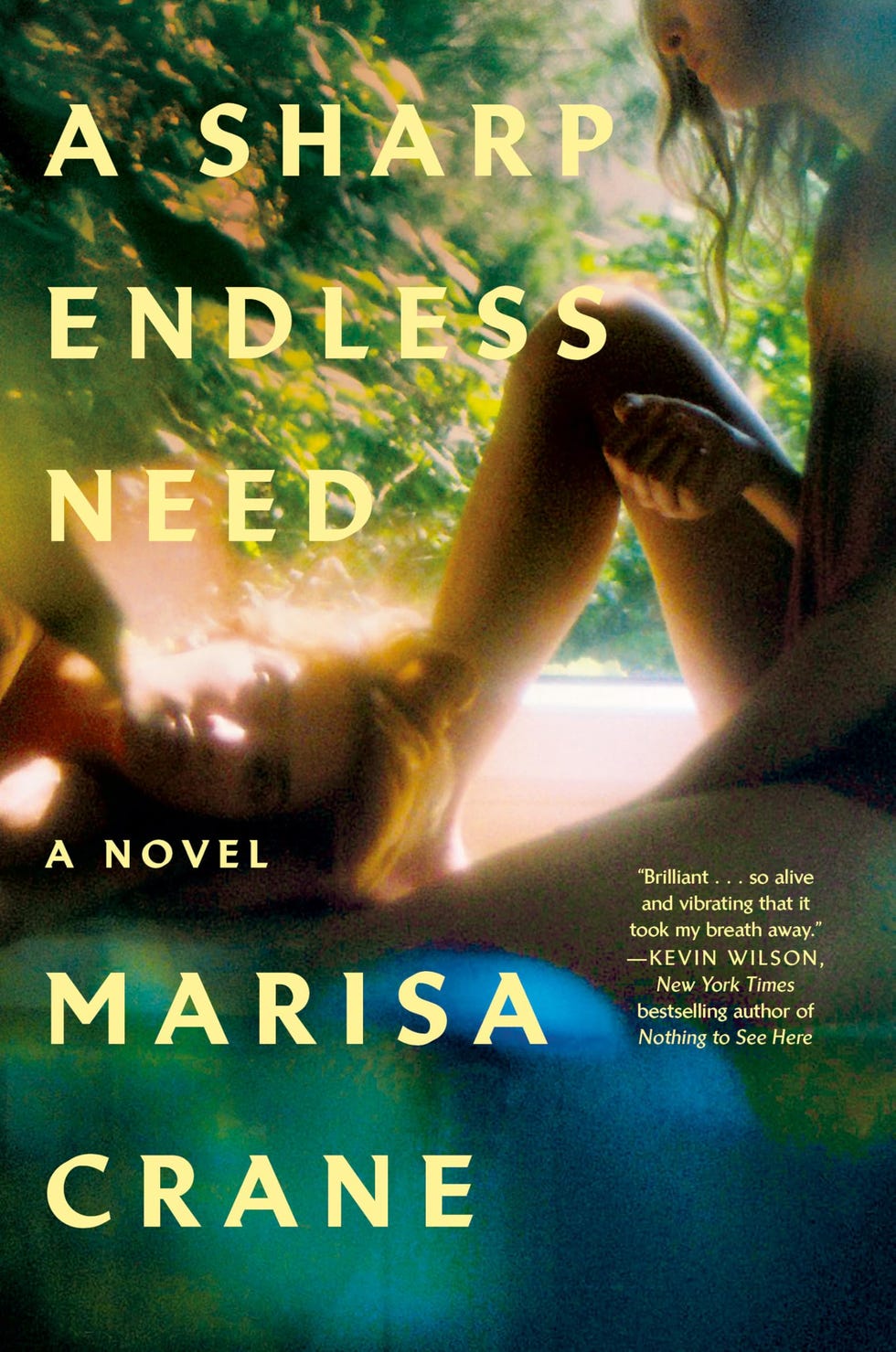 <i>Uma Necessidade Infinita e Aguçada</i> por Marisa Crane