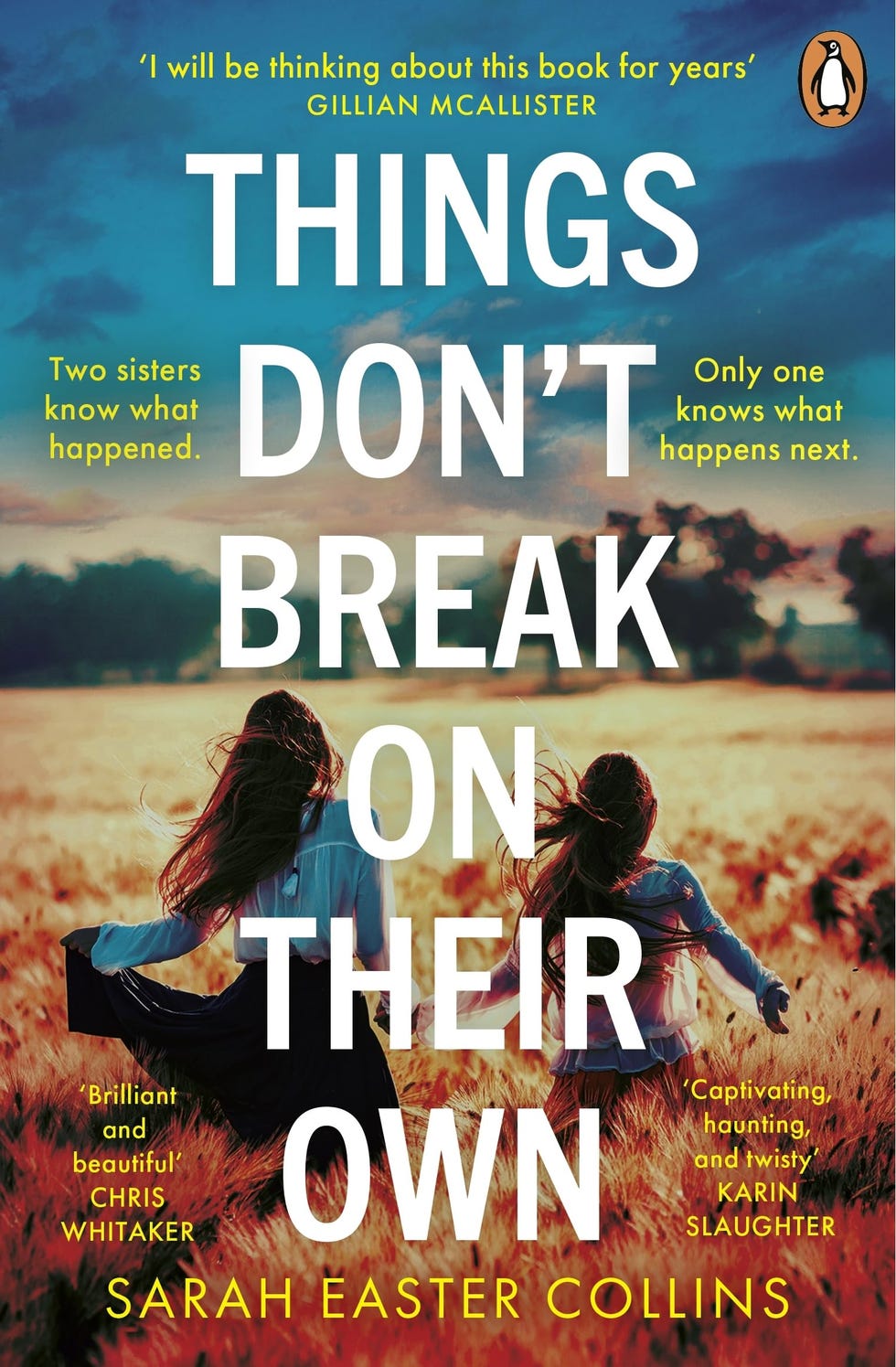 Things Don’t Break On Their Own by Sarah Easter Collins