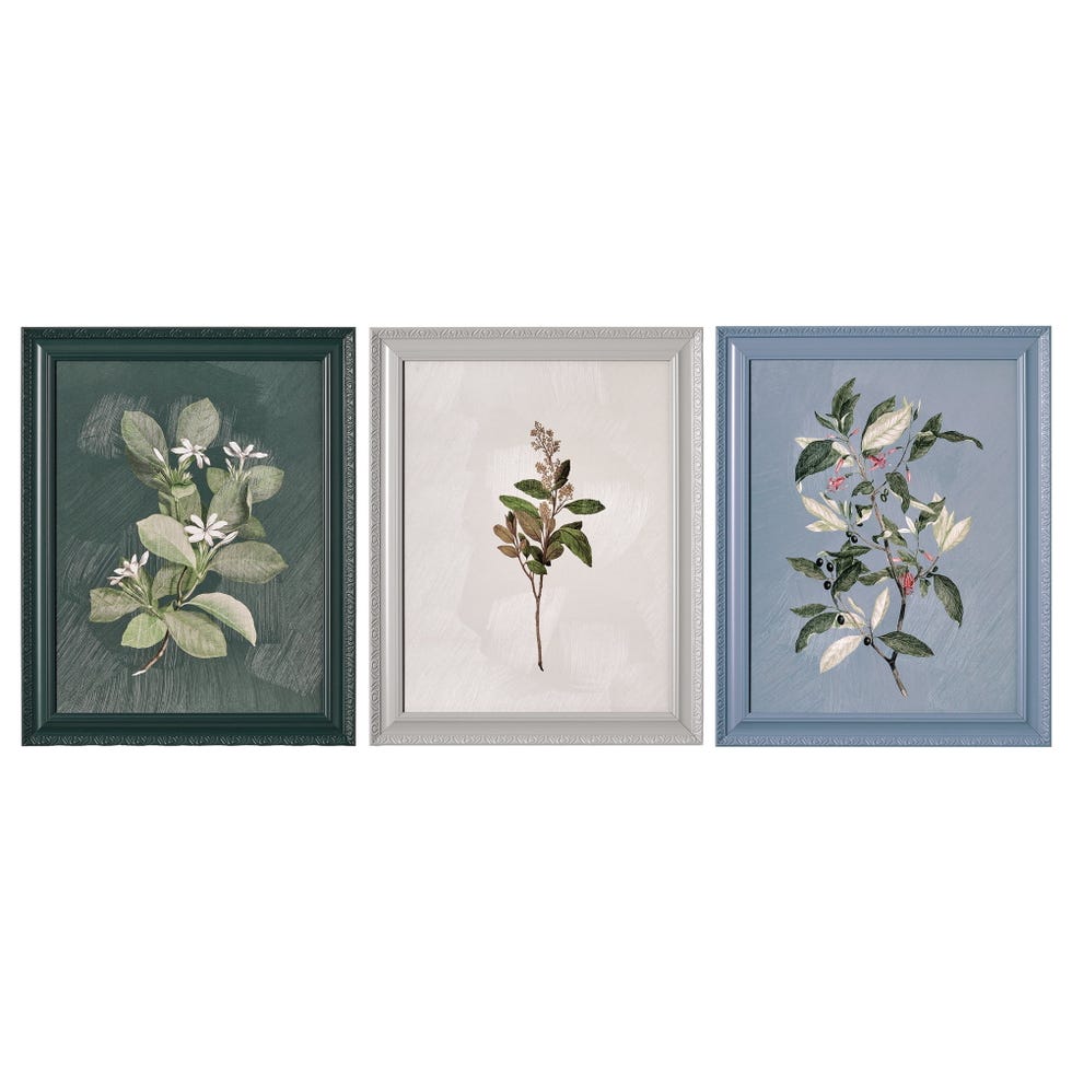 Framed Vintage Botanical Color Block