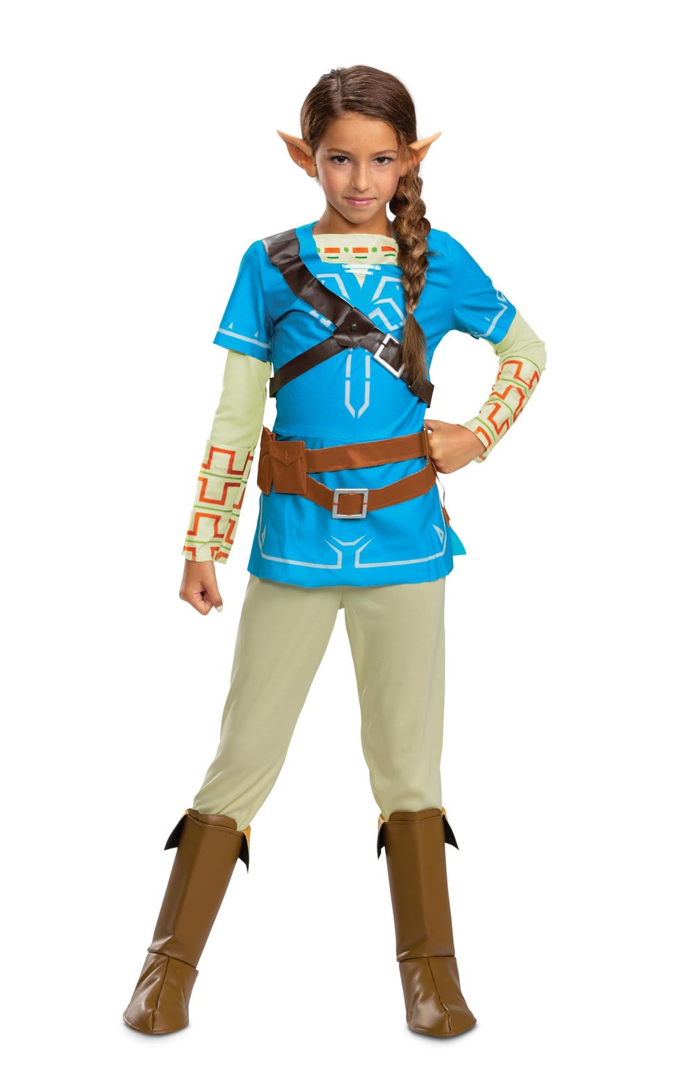Link From 'The Legend of Zelda'