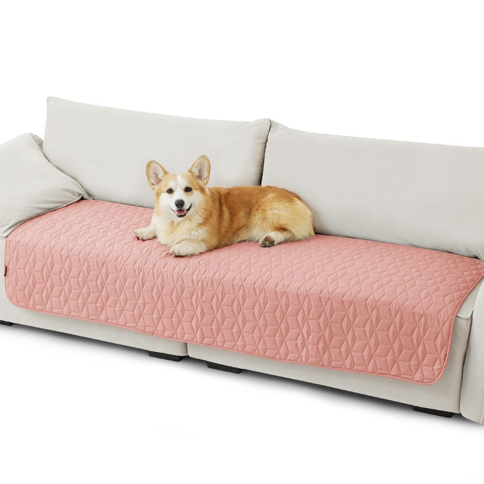 Waterproof Couch Cover for Dogs