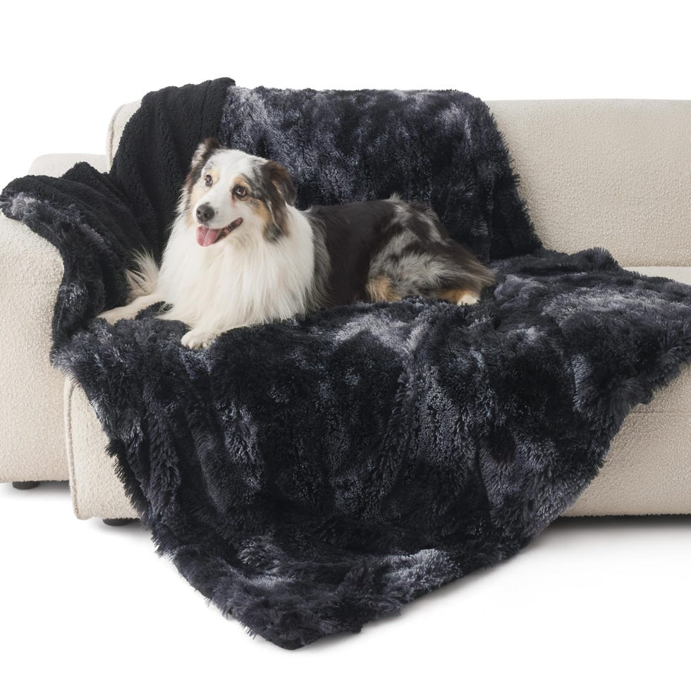 Waterproof Dog Blanket