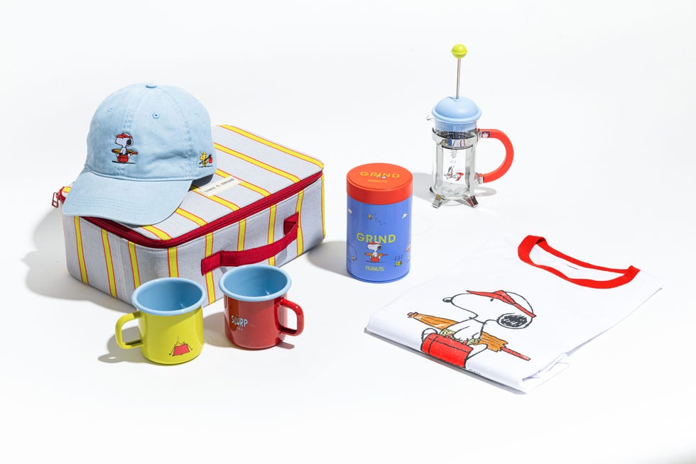 x Snoopy Picnic Cooler Bad Bundle
