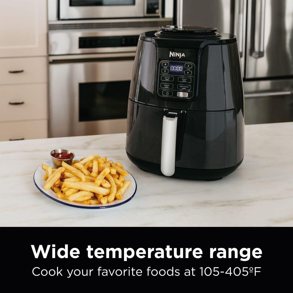 AF101 Air Fryer