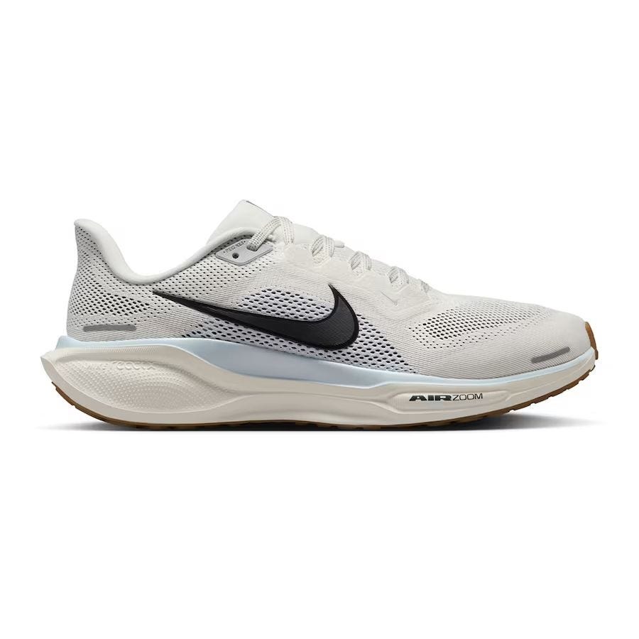 Pegasus 41