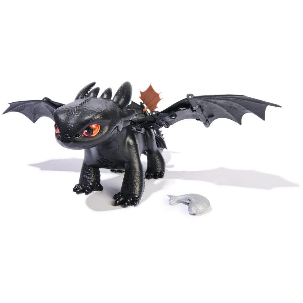 Tame & Train Interactive Toothless