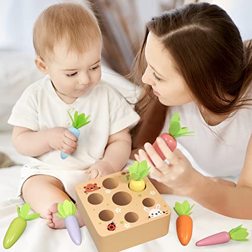 Carrot Harvest Game