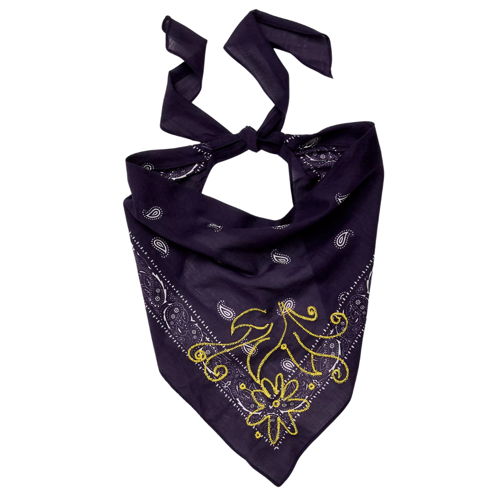 Free People Scarf