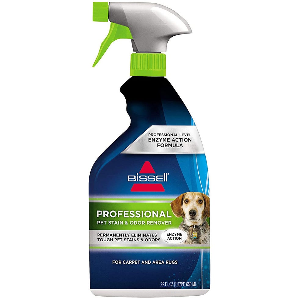 Professional Stain & Odor Remover