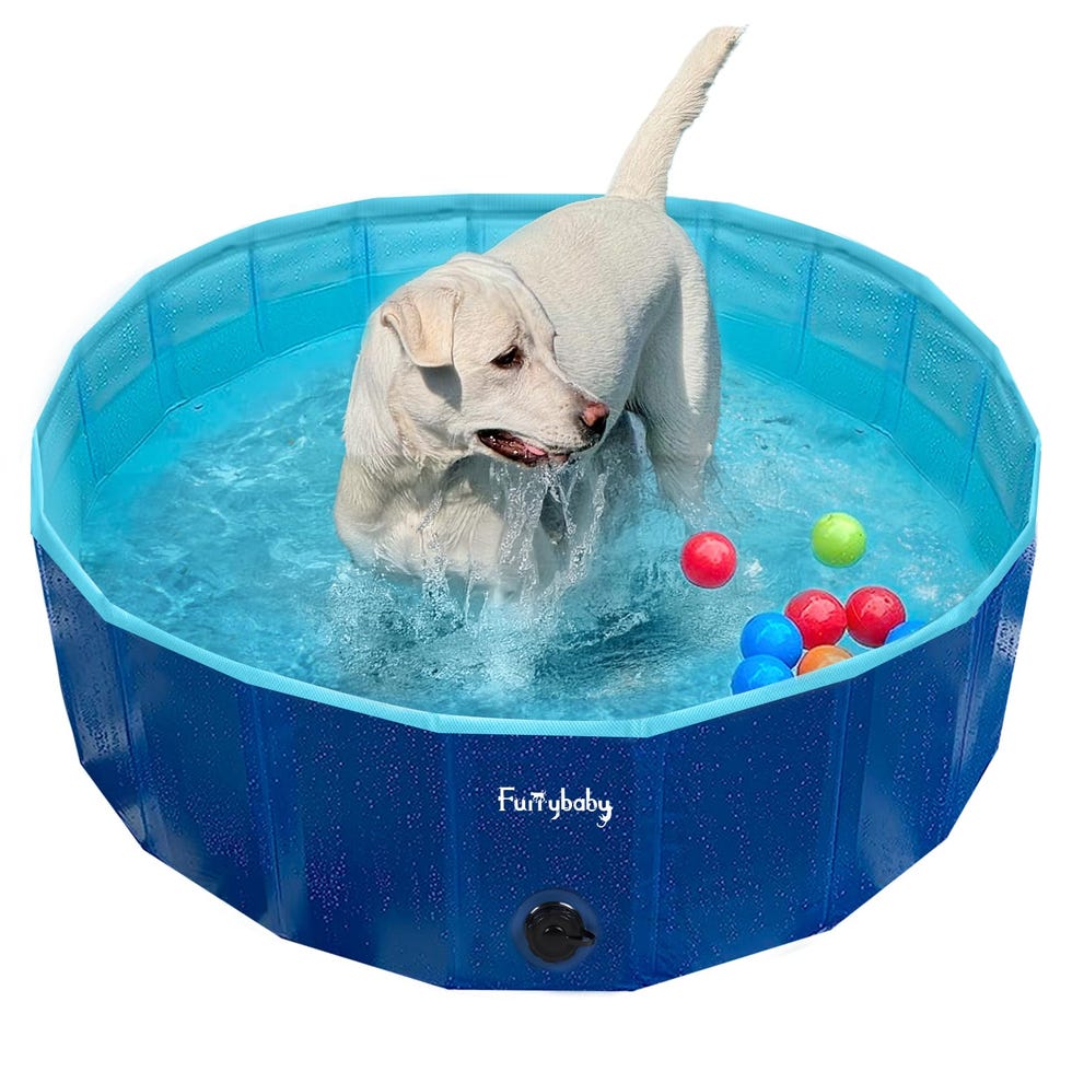 Dog Paddling Pool
