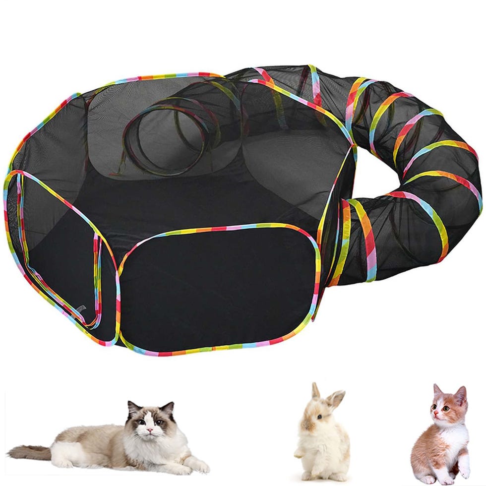 Collapsible pet tunnel