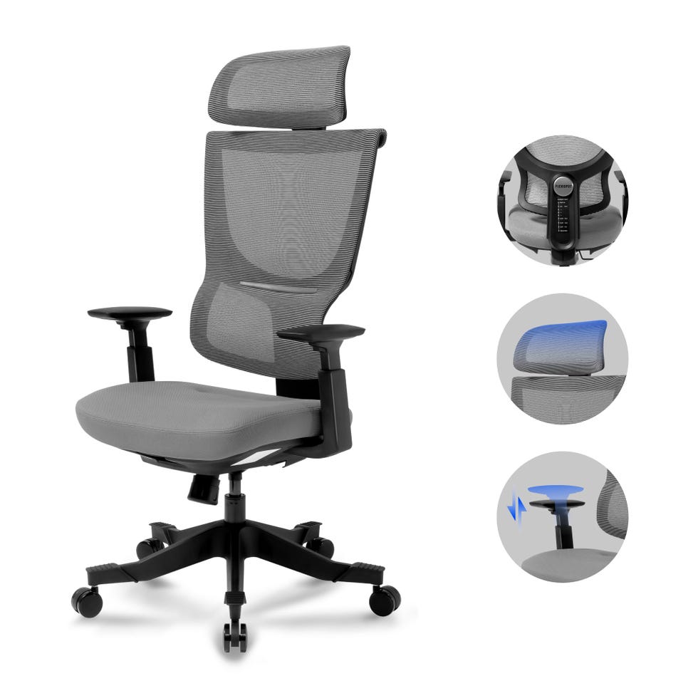BS8 Ergonomic Office Chair