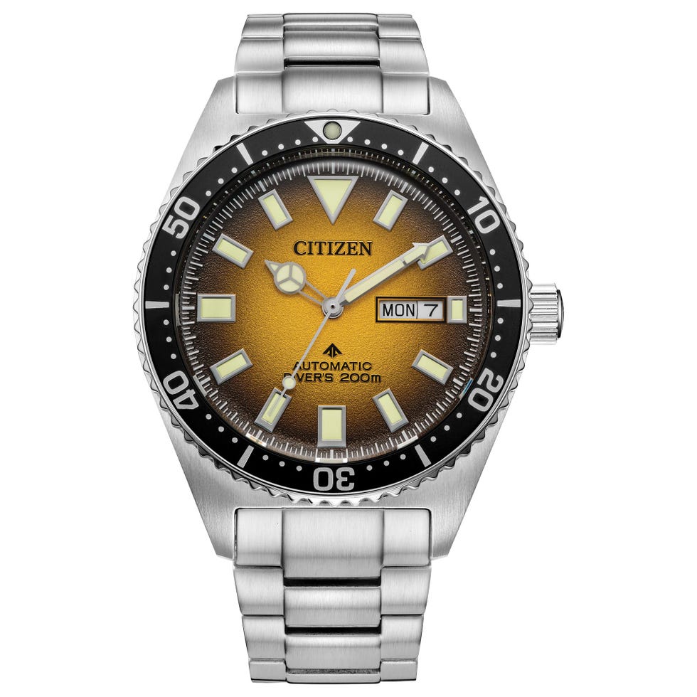 Promaster Dalış Otomatik 41mm