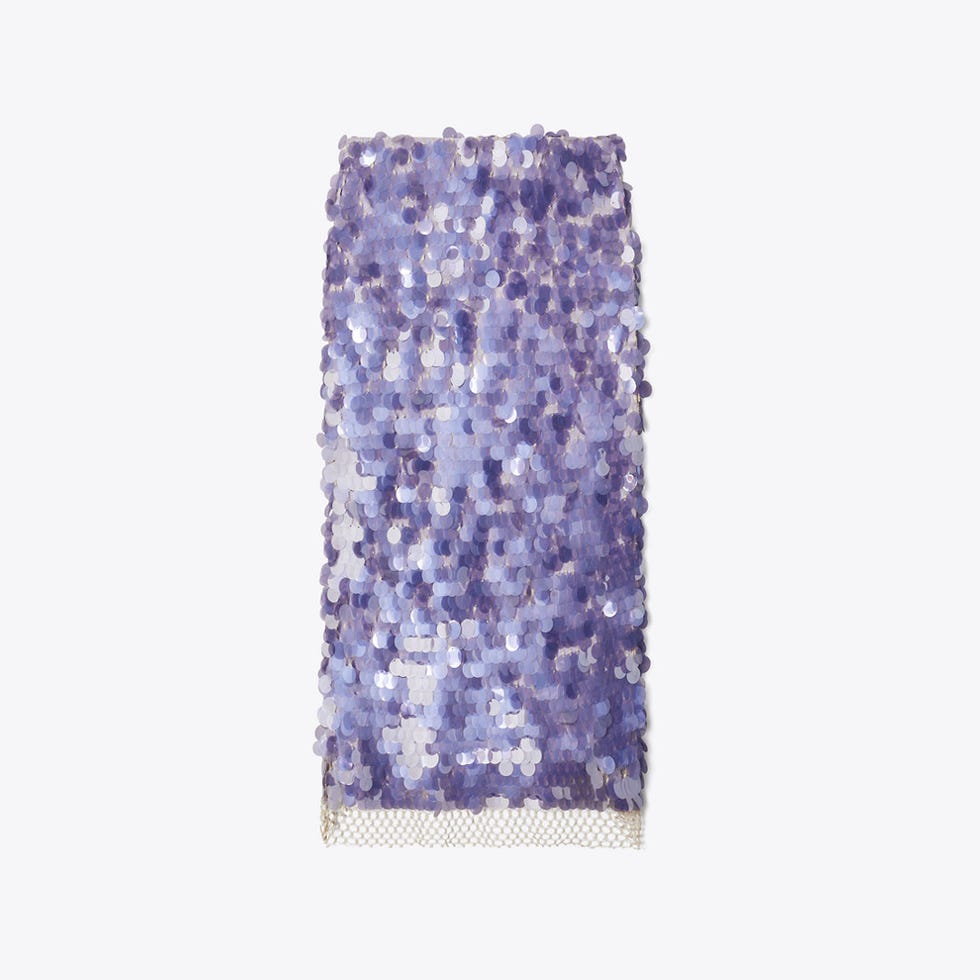 Sequined Skirt