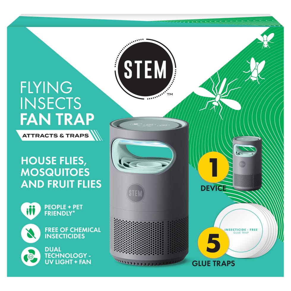 Flying Insect Fan Trap