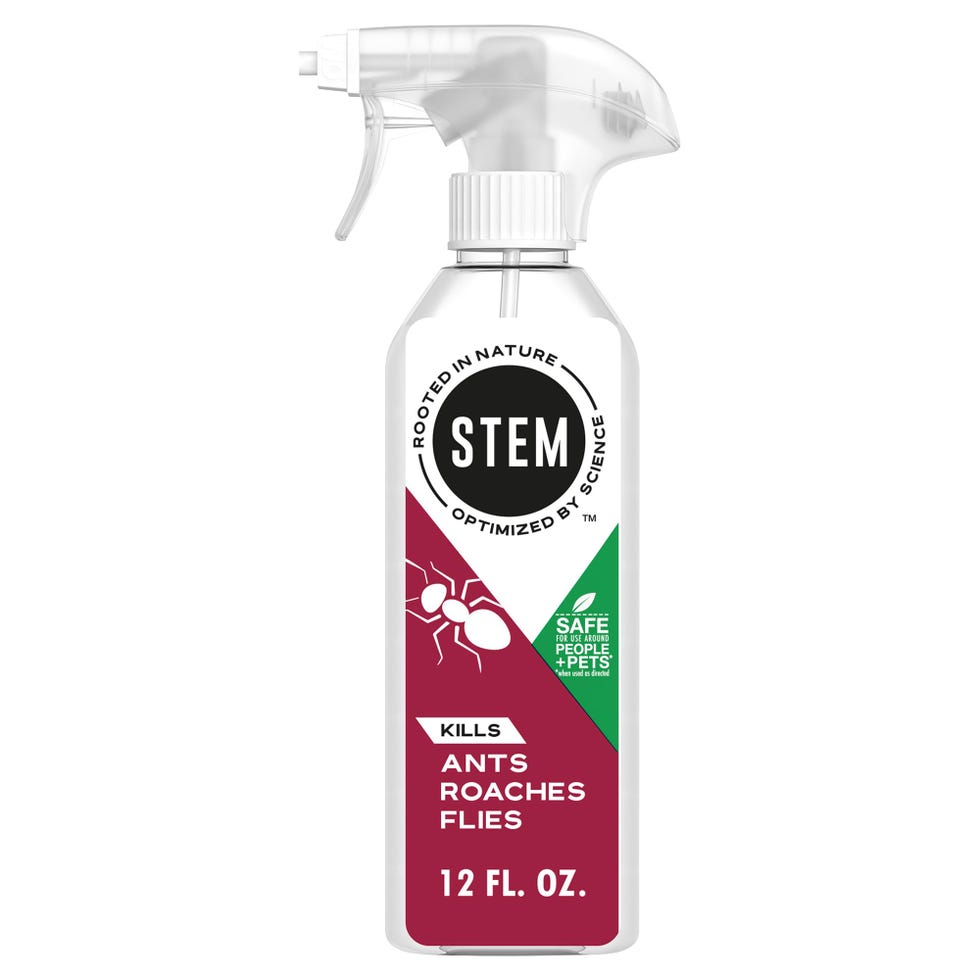 Plant-Based Bug Spray