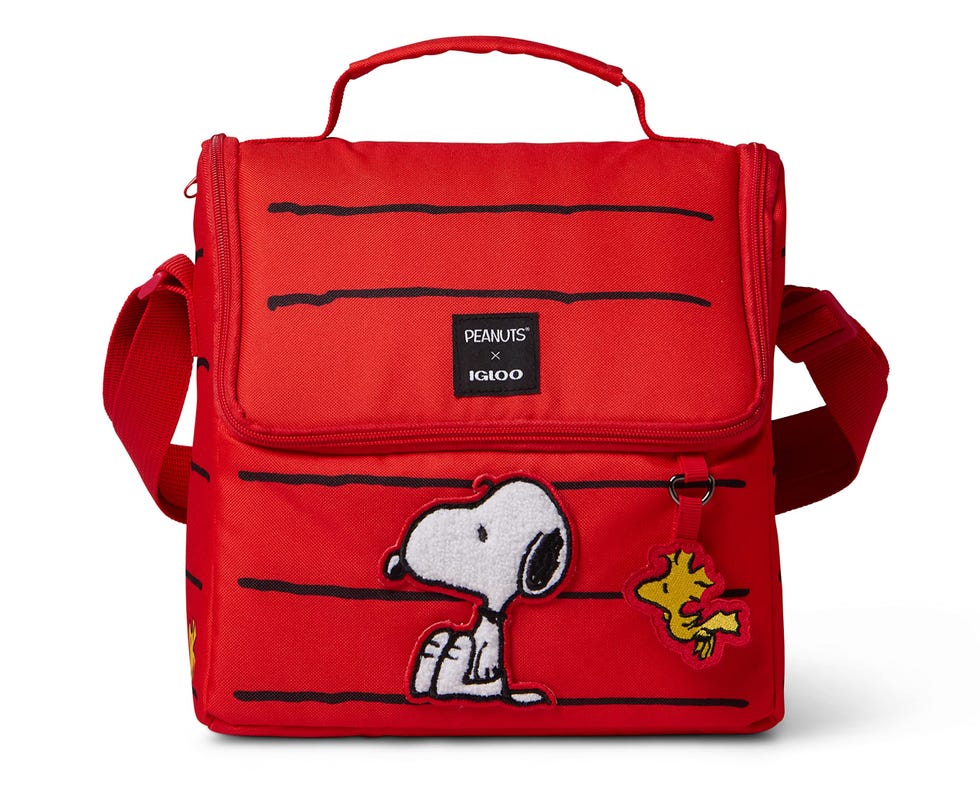 Lunchbox da 16 lattine della casa di Snoopy