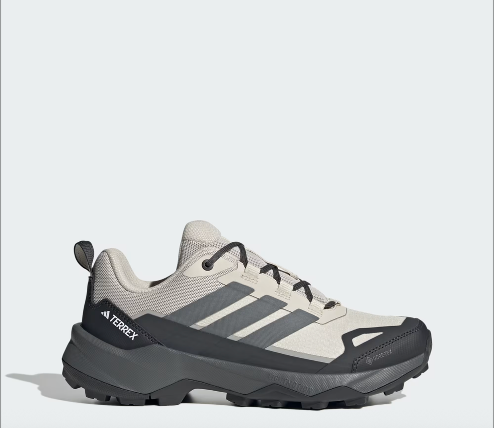 Terrex Skychaser AX5 Shoes
