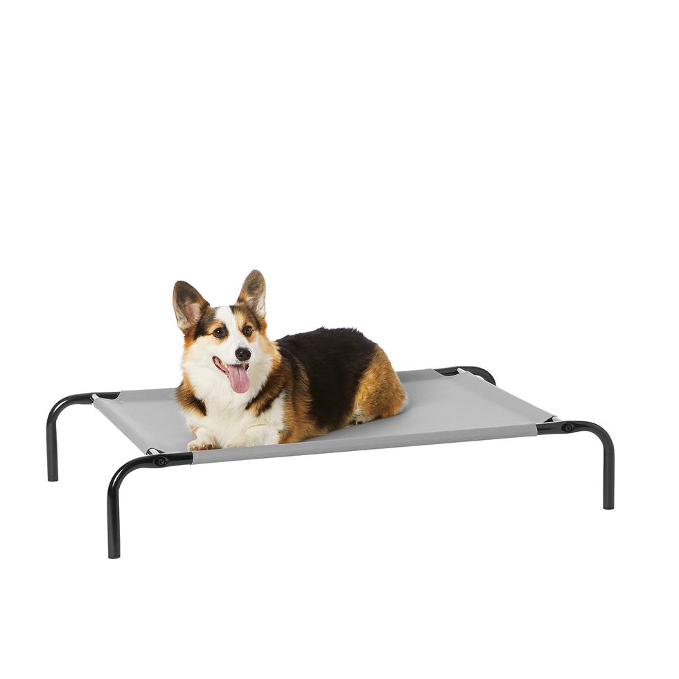 Raised Dog Bed - medium