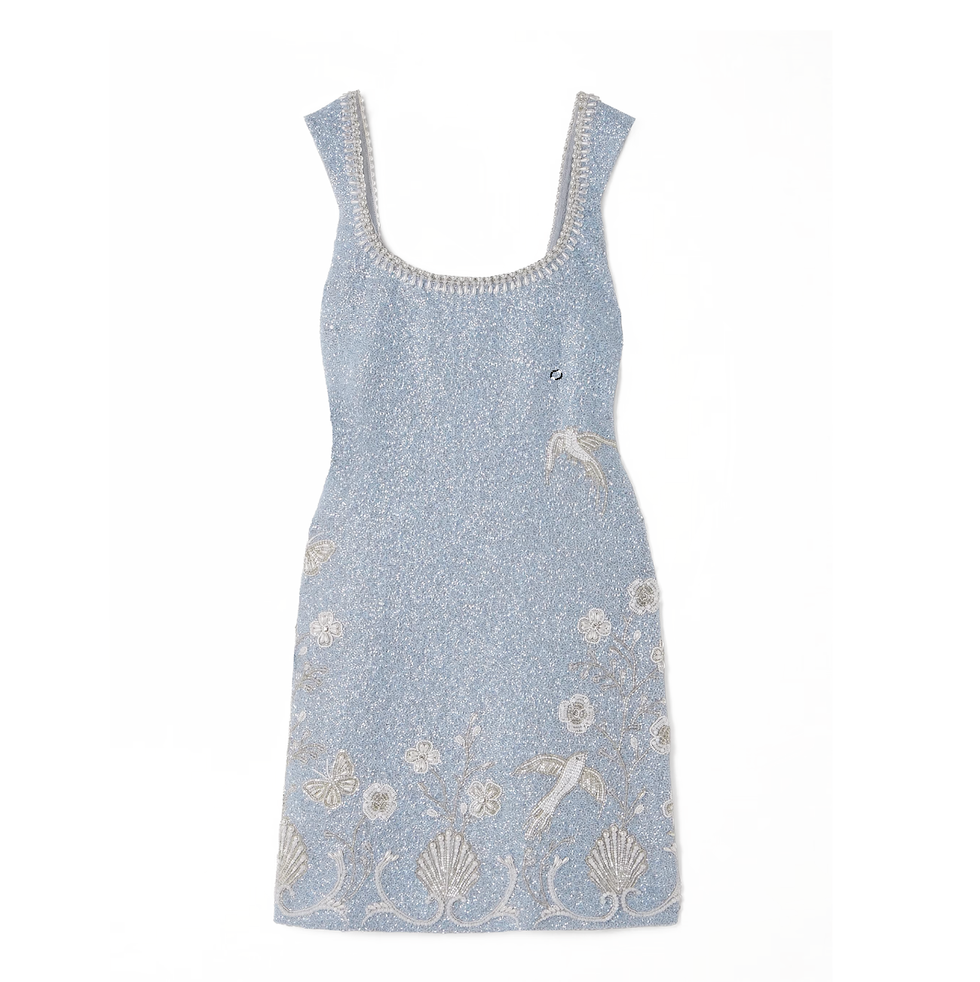 Bluebell Bead-Embellished Stretch-Tulle Mini Dress