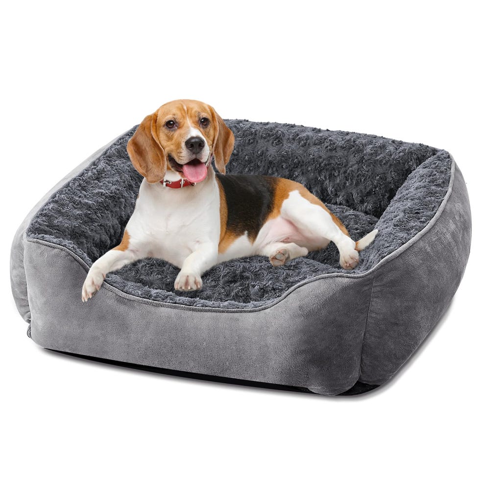 Dog Bed Medium