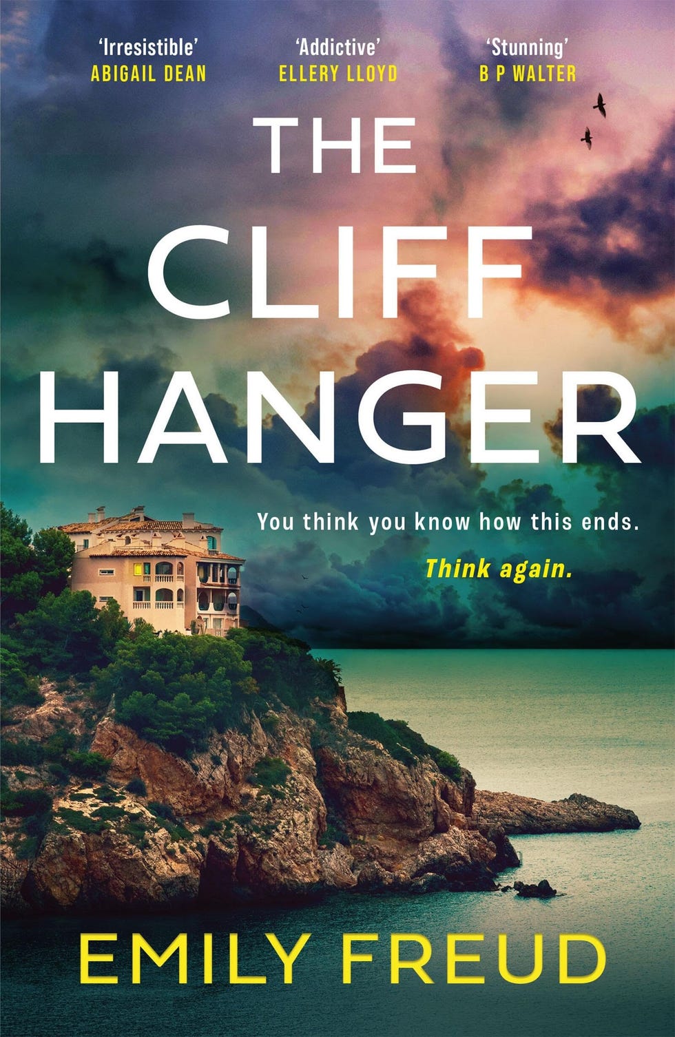 The Cliffhanger by Emily Freud