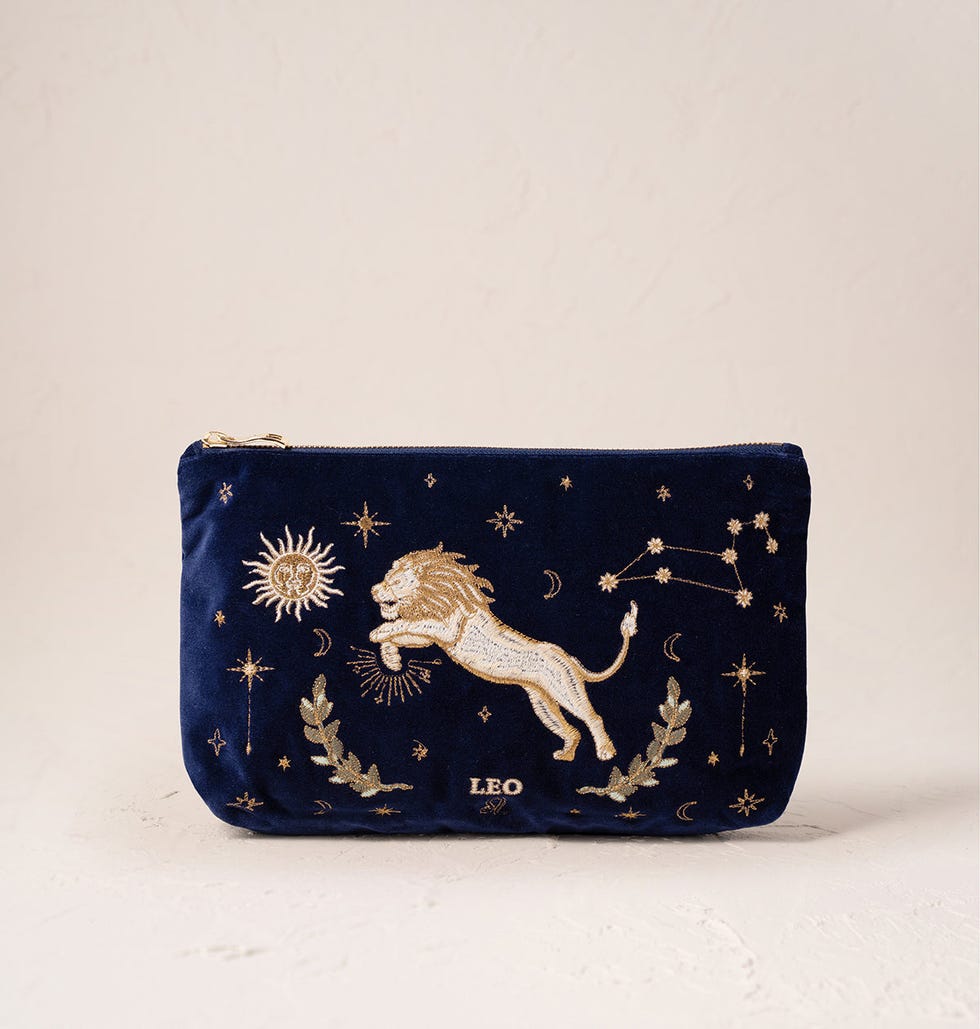  The Everyday Pouch: Leo Navy 