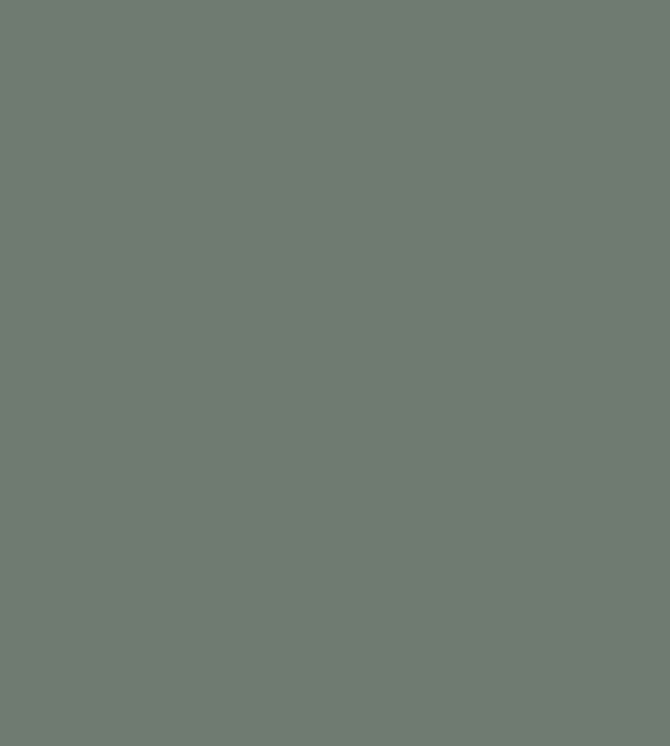 Farrow& Ball Green Smoke Paint