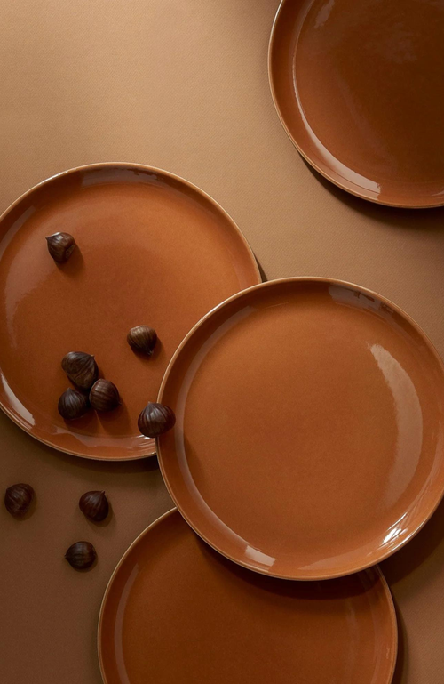 Gharyan Stoneware Tunisian Dinner Plates Set of 4 in Terracotta at Nordstrom