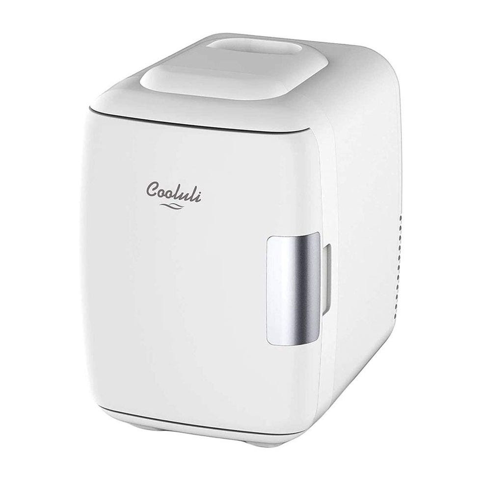 Mini Fridge Electric Cooler and Warmer