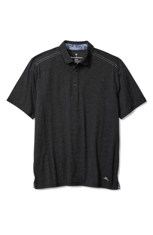 Harbor Isles Polo