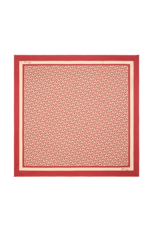 B Silk scarf magic