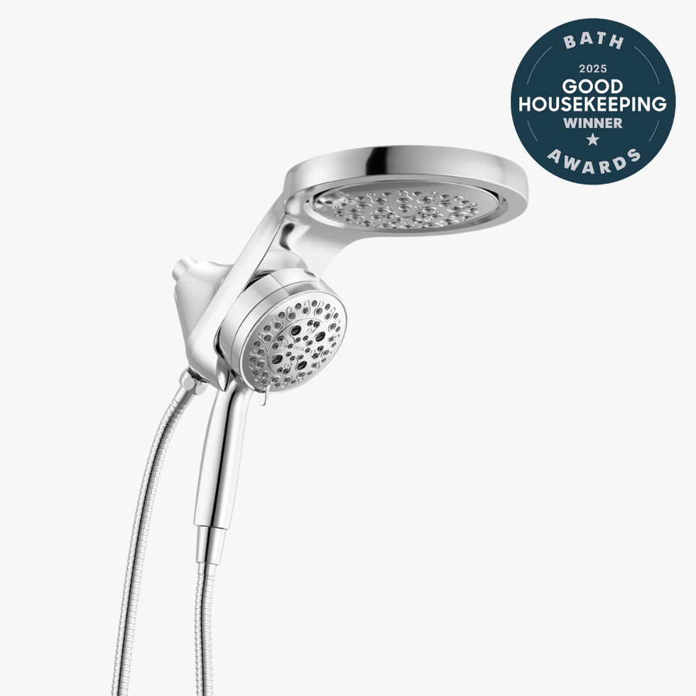 HydroRain Two-in-One Shower Head with ProClean Spray