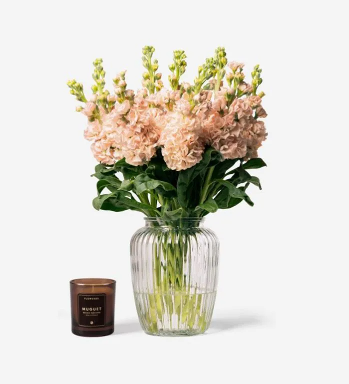 FlowerBx