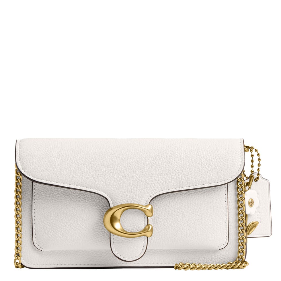 Tabby Chain Clutch