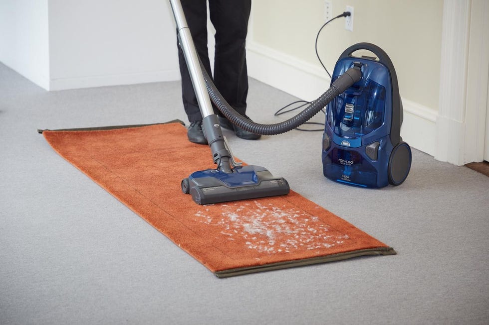 Pet Friendly Pop-N-Go Bagged Canister Vacuum
