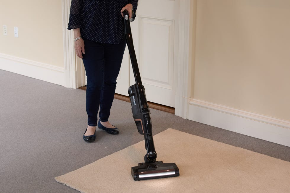 Triflex HX2 Cordless Stick Vacuum Cat & Dog