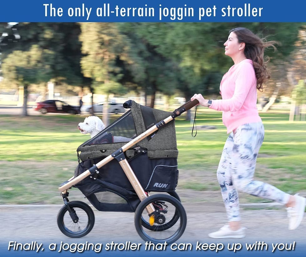 Pet Rover