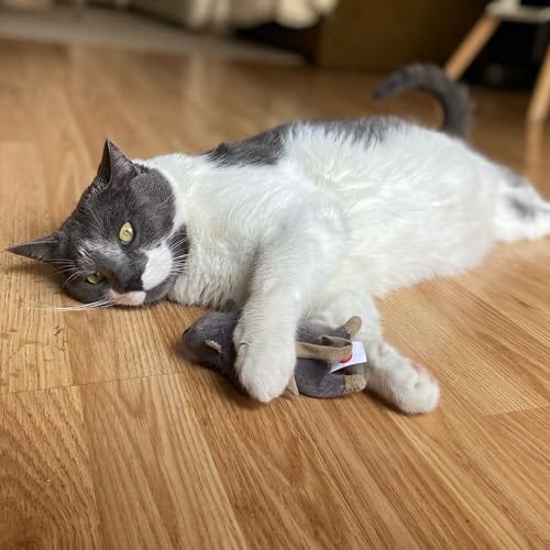 Flat Mouse Frankie with Catnip