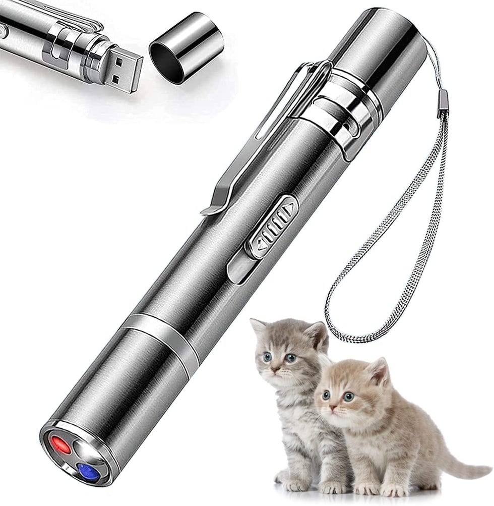 Laser Pointer