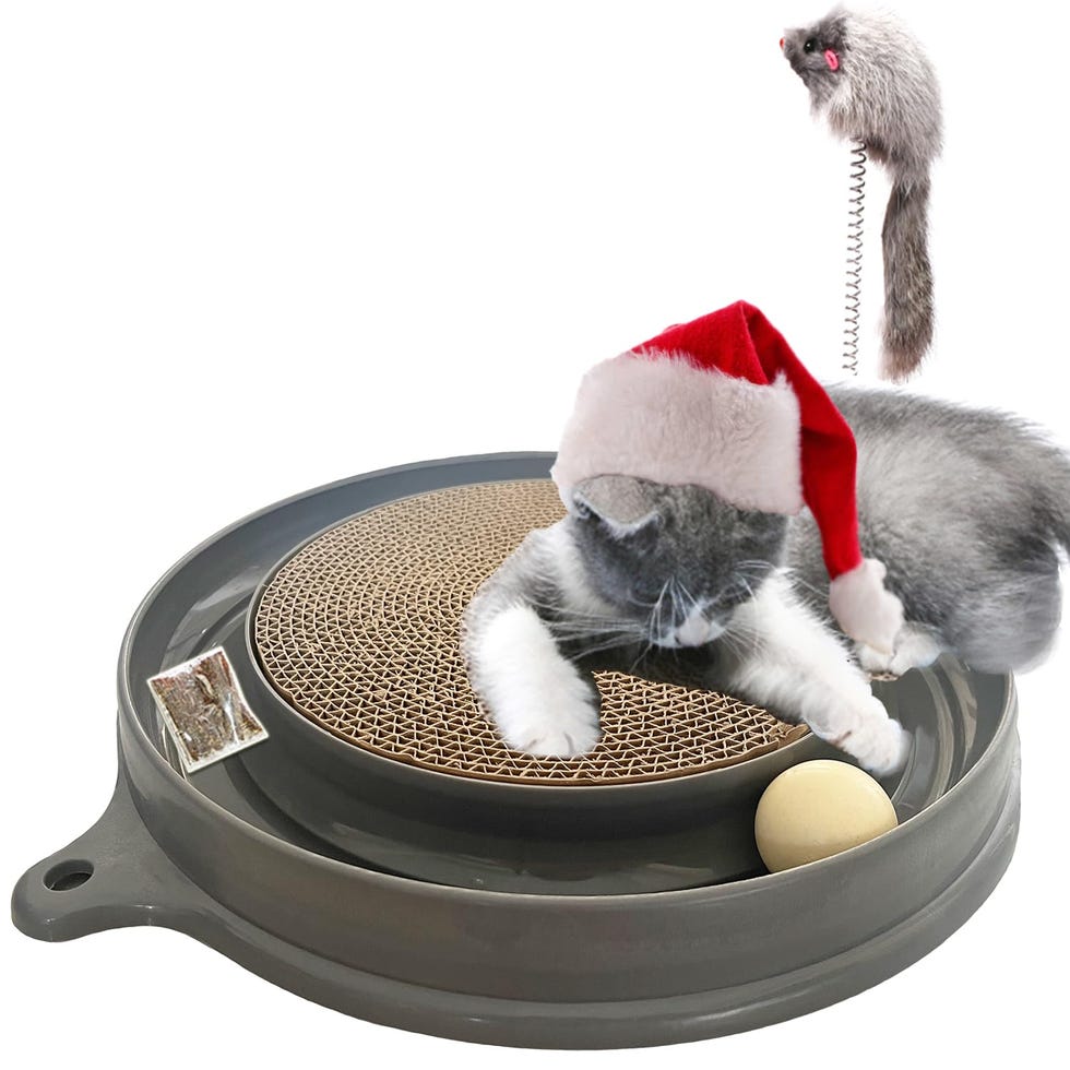 Cat Scratcher Toy