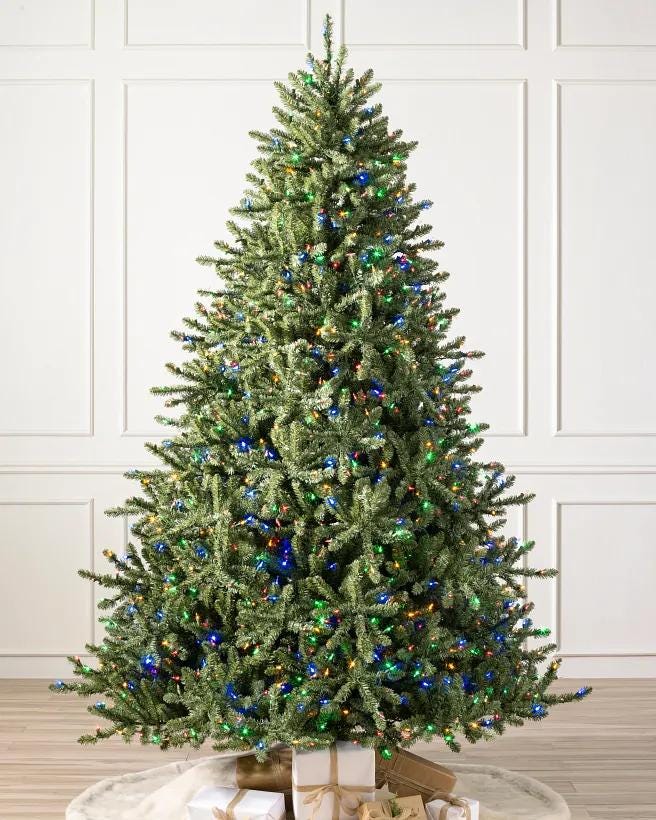 Classic Blue Spruce 