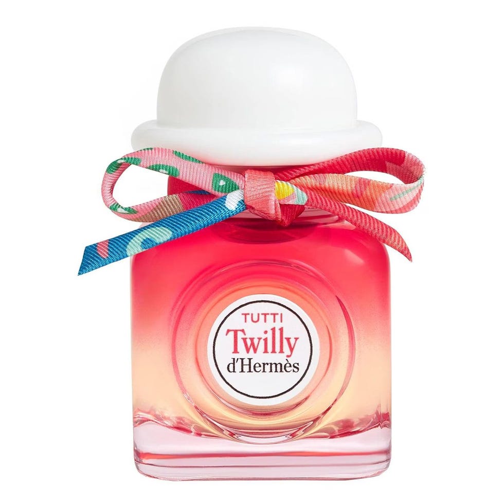 Hermès todos os twilly d'Hermès