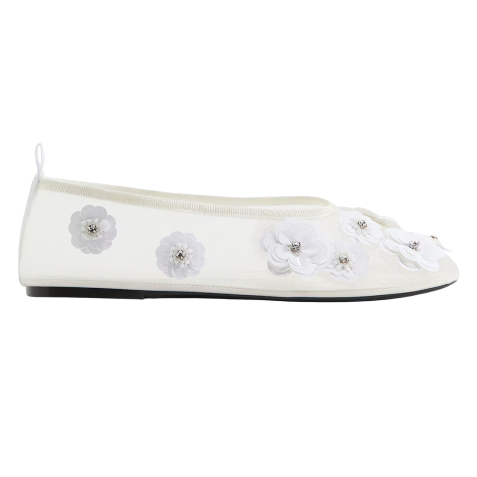 H&M Mesh Ballerinas