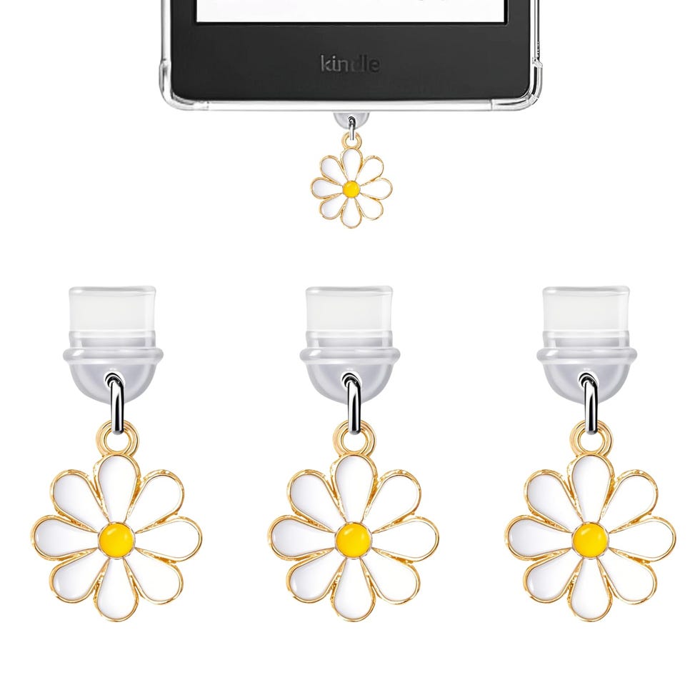 Dust Plug Charms