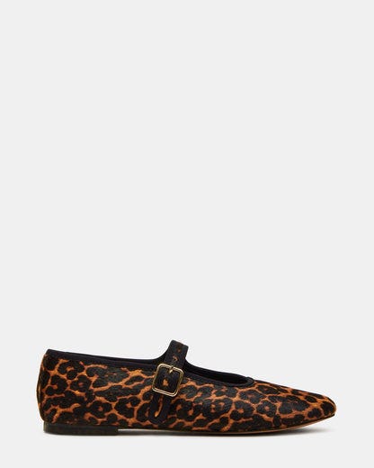 Dreaming Leopard Flats