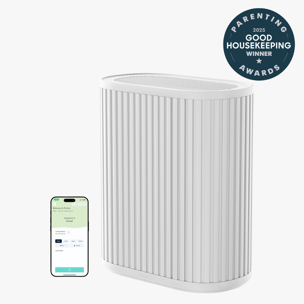 Windmill Air Purifier
