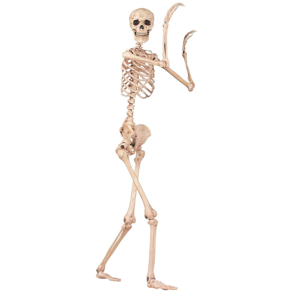  5-Foot Pose-N-Stay Skeleton