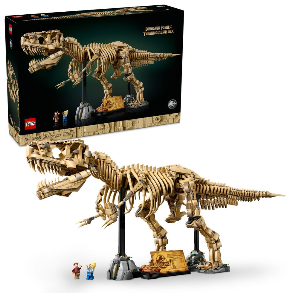 Dinosaur Fossils: Tyrannosaurus Rex